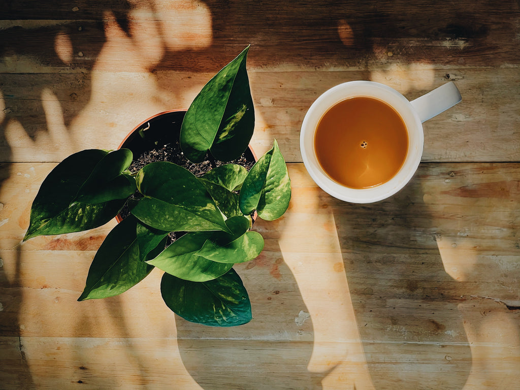 Health Benefits of Moroccan Mint Tea